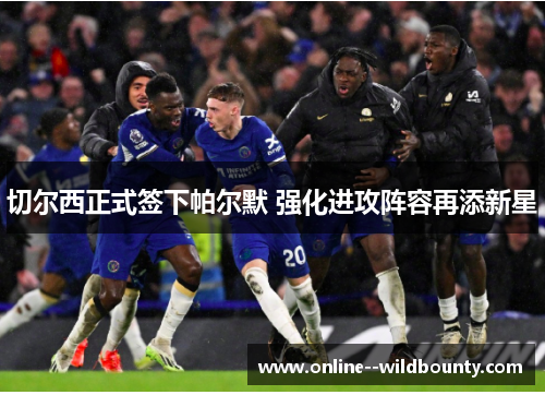切尔西正式签下帕尔默 强化进攻阵容再添新星