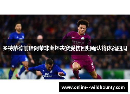 多特蒙德前锋阿莱非洲杯决赛受伤回归确认将休战四周 多特蒙德前锋阿莱非洲杯决赛受伤回归确认将休战四周